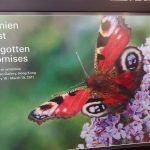 Damien Hirst, Gagosian Exhibition Poster