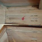 Antique Chinese Camphor Trunk. Grand Scale