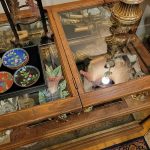 Antique Oak Show Case / Humidor / Display